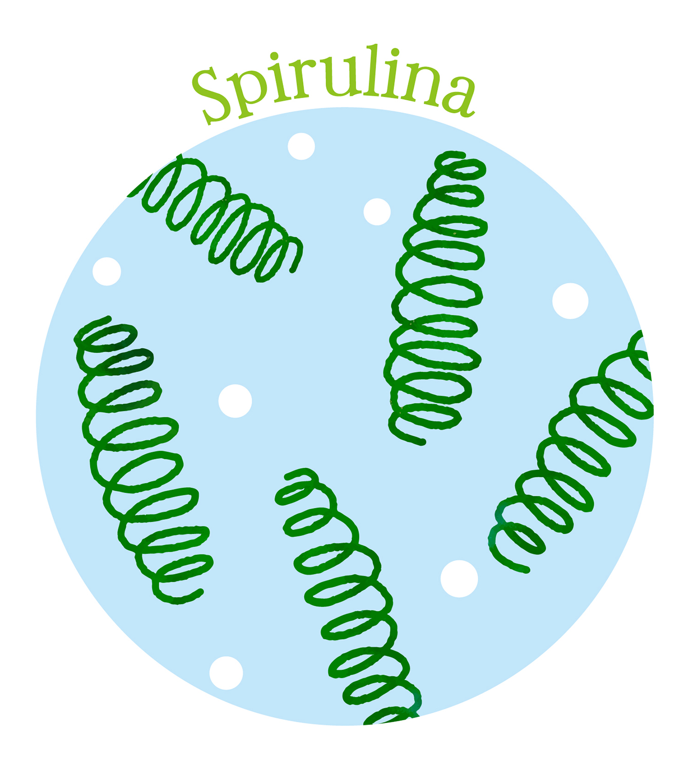 spirulina in the first place
