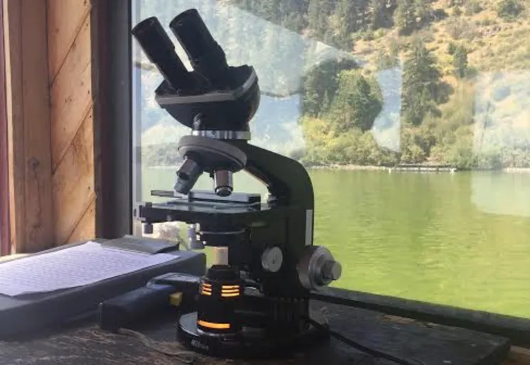 品質をチェックしている様子