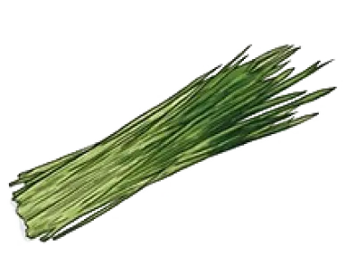 ウィードグラス