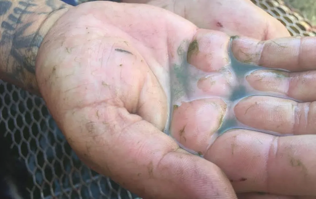 健康のイメージ